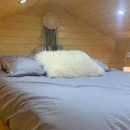 Tiny House - Home-One Dannemarie-sur-Crete Extérieur photo